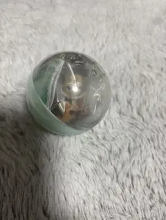 東京ディズニーリゾート カプセル