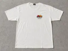 STUSSY フルーツプリント Tシャツ 00s