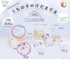 うちの子のけだまだま　黒柴　ポメラニアン