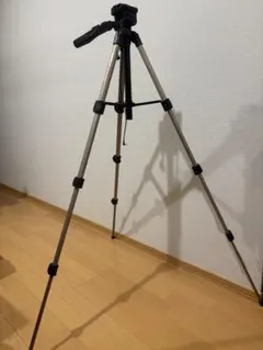 Item thumbnail for item 39832b5e-eee7-4b80-8727-31c0d5e50371