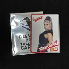 Item thumbnail for item b4e0c80e-51a7-46c9-afd3-7f7589525104