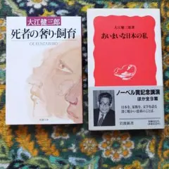 大江健三郎 作品集 2冊セット