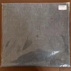 Item thumbnail for item 29c5d953-22bf-45f4-a6bf-dec790692314