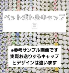 Item thumbnail for item a9421c73-42f3-460d-a62c-7d39d0afbb6e