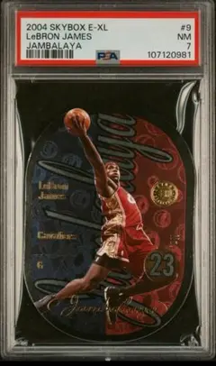 2004 Skybox E-XL LeBron James Jambalaya