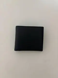 Item thumbnail for item 2a2795da-2eb0-4302-b967-2f39bfced95c