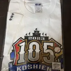 Item thumbnail for item 65e65d82-1d5a-4b08-a526-1d3223b23b67