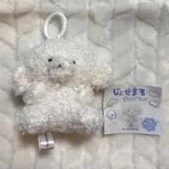 じょせまる ぬいぐるみ