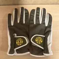 ゴールドジム フルフィンガーグローブ Lサイズ