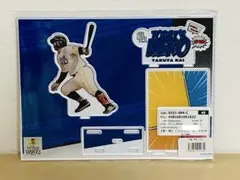 甲斐拓也 アクリル