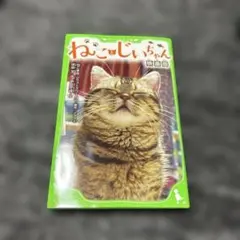 Item thumbnail for item cee44c18-9b1b-41c8-97ee-35eb1a93d332