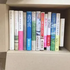 小説・単行本　まとめ売り　13冊セット