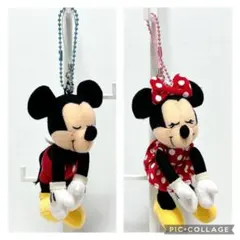 希少　ディズニーリゾート　ミニー　ミッキー　ぬいぐるみ　マスコット　ペア