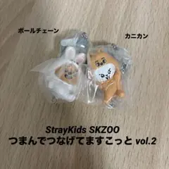 StrayKids SKZOOつまんでつなげてますこっと vol.2