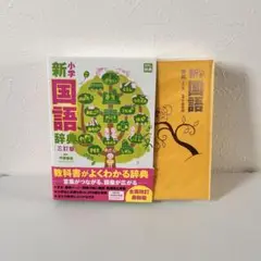 新小学国語辞典（三訂版）光村教育図書
