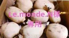 Le.monde.N様専用