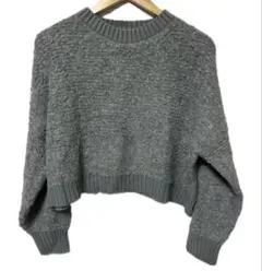 earth music&ecology グレー クロップドニットセーター