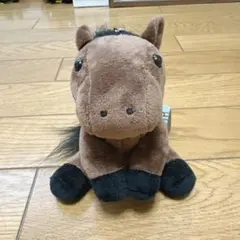 アイドルホース レガレイラsサイズ 第69回有馬記念