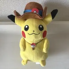 さかざきちはる のんびりライフ ピカチュウ ぬいぐるみ d*7様 さかざきちはる のんびりライフ ピカチュウ ぬいぐるみ - メルカリ