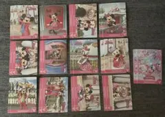 ディズニー パルパルーザ コレクションカード 2024