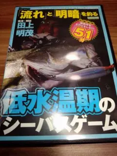 低水温期のシーバスゲーム DVD田上明茂