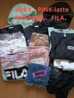 anap 160