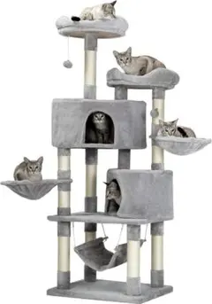 Item thumbnail for item 85c2f7fd-3d6f-448b-8612-ee00f47ba3a9