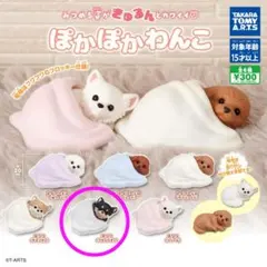 ぽかぽかわんこ チワワ