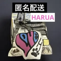 【HARUA】 &TEAM ツアーグッズ クッションキーホルダー