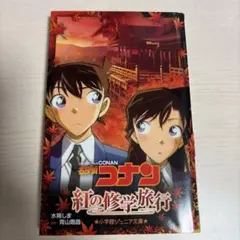 名探偵コナン 紅の修学旅行