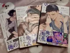 復縁なんていたしません！①〜③巻セット＊初版 美品　竹輪つぼみ
