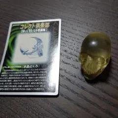 コレクト倶楽部水晶どくろ七不思議ガイコツフィギュア歴史UHA味覚糖廃盤カード付