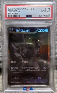 2025年最新】ゼクロムEX psa10の人気アイテム - メルカリ