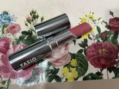 FASIO ヒトヌリ ルージュ 09のサムネイル