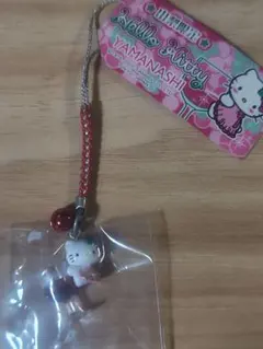 激レア◎三重限定◎二見シーパラダイスあっかんべーアザラシキティ