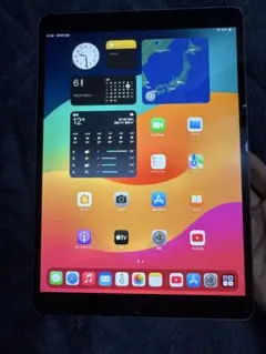 の*読様 Apple iPad Pro 10.5インチ スペースグレー 256G