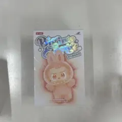タ*ケ様 らぶぶPOP MART Big In Party ぬいぐるみ
