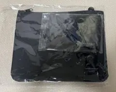 Item thumbnail for item e7434e7b-0ddd-4327-acda-f16845af3b22