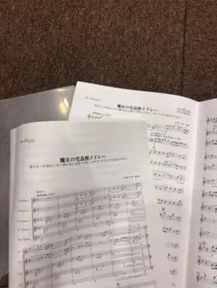 Item thumbnail for item 943785a2-86b6-4dfd-b145-7431a1964c8f