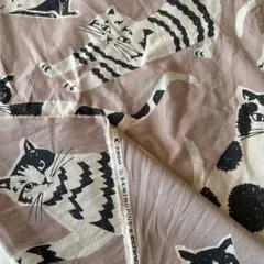 生地　KOKKA echino ハギレ