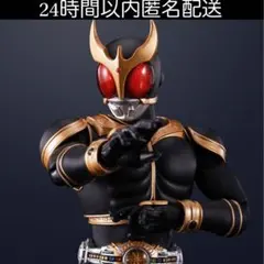 S.H.Figuarts 仮面ライダークウガアメイジングマイティ 真骨彫10th