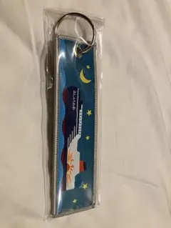 大洗　苫小牧　さんふらわあフェリー　クルーズタグ