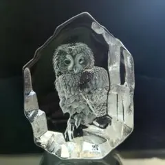 유리 공예 작가 마츠 조나단 크리스탈 올빼미 인테리어 입상 오브제