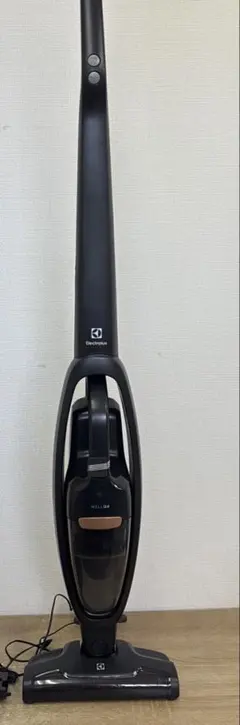 Electrolux 掃除機 WELL Q6 WQ61-10GG - メルカリ