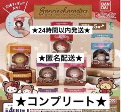サンリオキャラクターズ ミニチュアパッケージコレクション ガチャ コンプリート