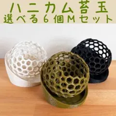 ハニカム苔玉　選べる6個Mサイズセット　白黒苔　多肉　ビカクシダ　蘭　ハンギングのサムネイル