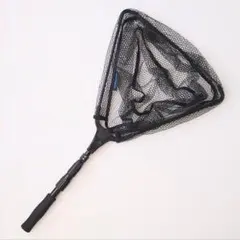 Item thumbnail for item 53d0f482-1450-49e2-bf13-cfdf60de77c5