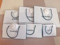 CHANEL ショップ袋 6枚セット