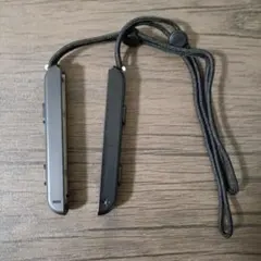 Item thumbnail for item e2958d42-77e4-4fa0-839e-779efde7440b