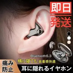 Item thumbnail for item 1497602b-96a3-40c1-9817-31dcd3da778c